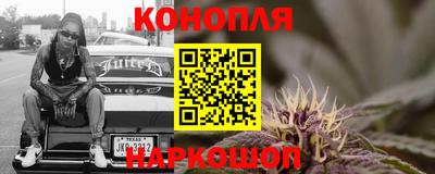 гашик Пыть-Ях