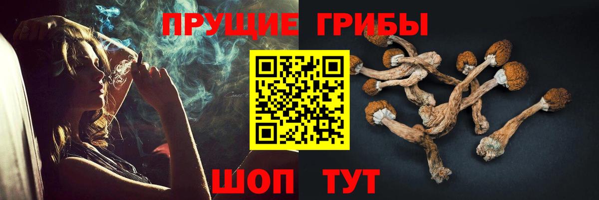 Псилоцибиновые грибы мухоморы  магазин продажи   Рузаевка  Вход с VPN 